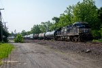 NS 4516